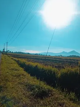 Selamat Hari Senin Kawan #manchestercity #mancity #citizens #harisenin #meme 