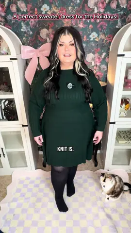 hey babes! Today I’ve got the perfect holiday dress for my midsize and plus size babes! It is so comfy and stretchy and it’s from blue cheek so you know that it was made with a curvy body in mind! The stress is great both for the office a day out shopping for a holiday party . Truly such a good one. #tiktokshopblackfriday #tiktokshopcybermonday #tiktokshopcreatorpicks #fallfashion #holidaydress