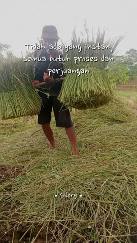 Tidak ada yang instant semua butuh proses dan perjuangan. 