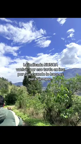 🙂‍↕️❤️‍🩹🙌🏻