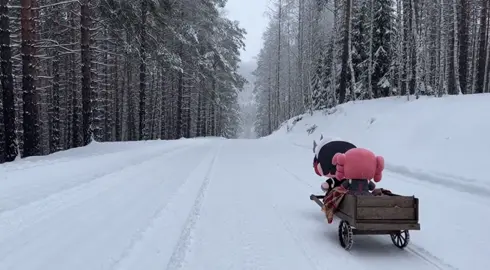 #ellenjoe #teto #zenlesszonezero 