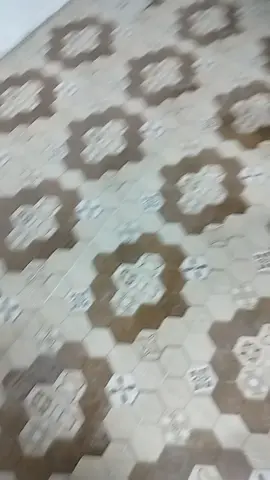 #لشعب_الصيني_ماله_حل😂😂 #ترندات #ستيرن_الدنيه #ديالى_بعقوبه_مجسر_حي_المعلمين #بصره_بغداد_ميسان_ذي_قار_كل_المحافظات 