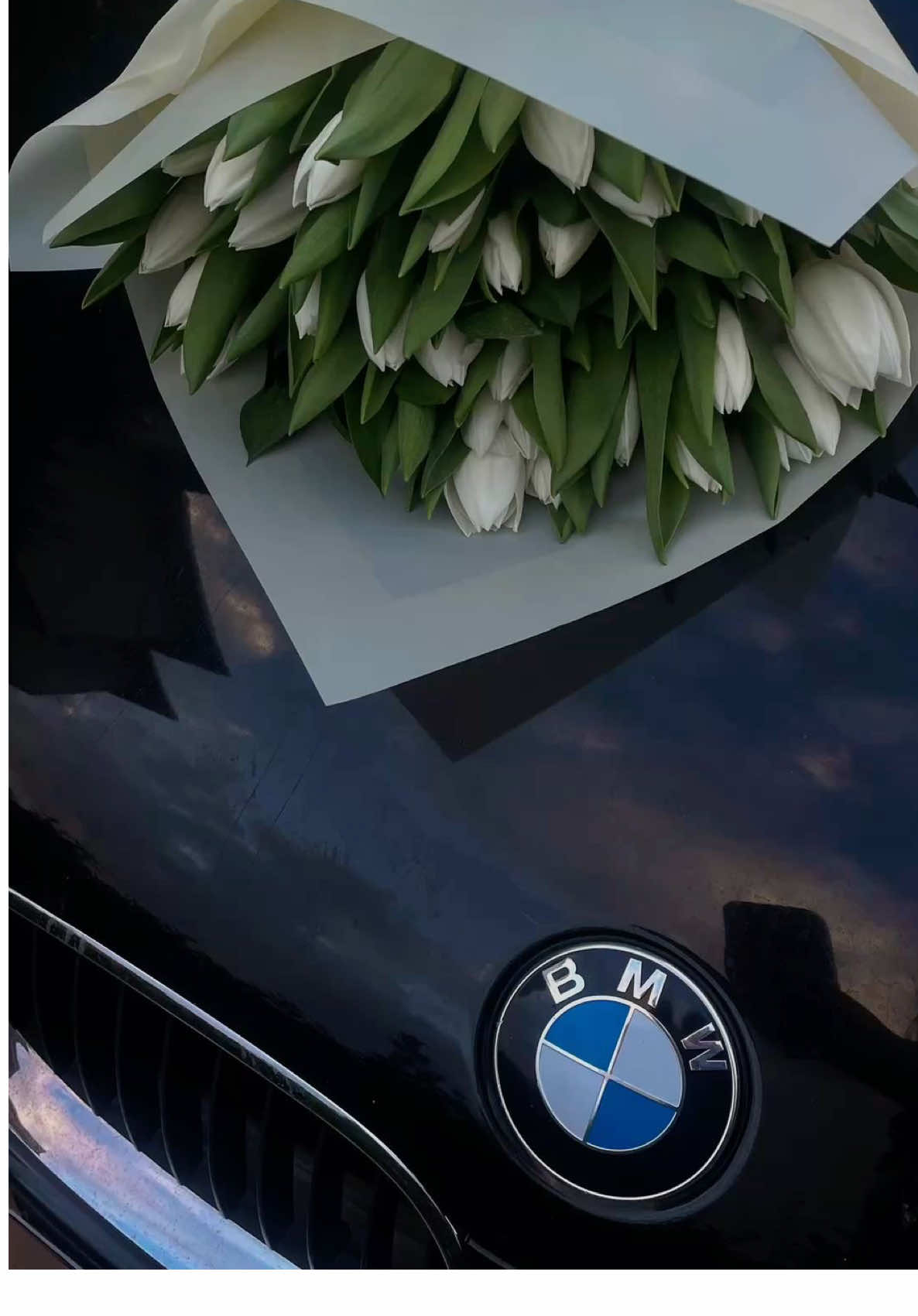 Rani nabghiha o mazal hya omri ❤️‍🩹 #akil #chebakil #rai #oujda 