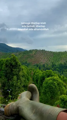🤲🏻#petanicengkeh#petaniindonesia🇮🇩🇮🇩🇮🇩🌿🌿#petanimuda#viral_video#cengkeh 