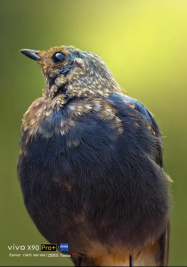 Cảm biến chính 1 inch trên 1 chiếc điện thoại với giá 2000 tệ này thực sự rất hoàn hảo,chỉ là nó có 1 lý do khiến nhiều người chọn X100 hơn đó là 