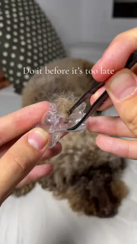 If you have a dog you need this ❤️‍🩹🐾 #dogowner #dog #dogmom #petmemorial #petloss 