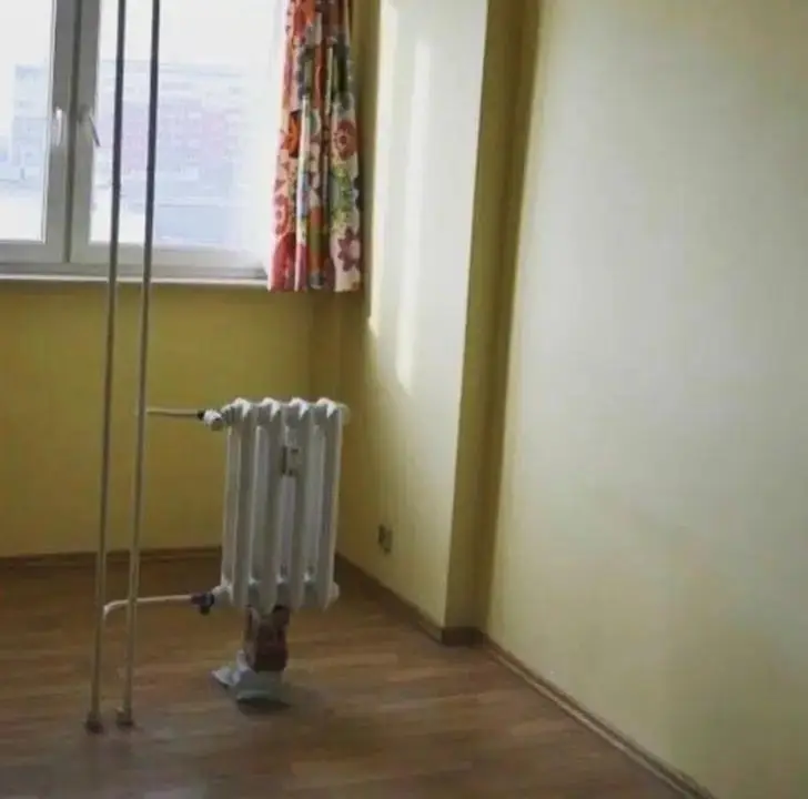 #cursedimages #funny #viral #xyzabc #fyp 