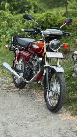 November: Paringi GL100 Mawon Setunggal Sg Sae😇#gl100 #fyp #xybca 