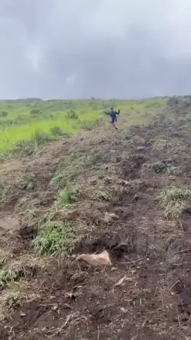 idaman tim sar😭😭 @mountnesia #penanggungan1653mdpl #landai #pendakifomo 