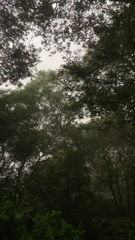 Sunyi dan tenang #fyp #pendakigunung #mountain #natasangin #muria 