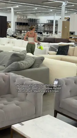 HAHAHA SHANE TOOK THIS & I HAD NO IDEA. When I want something, I'm on a MISSION 😂