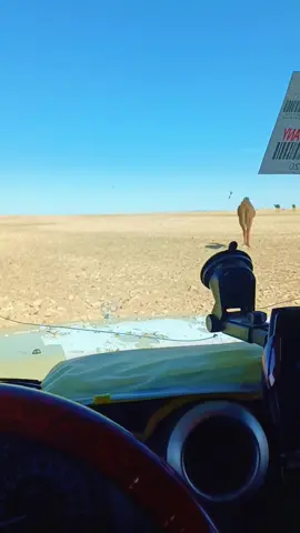 #خلا #يااانويرتي@حافظ بوحوش78\00💚 