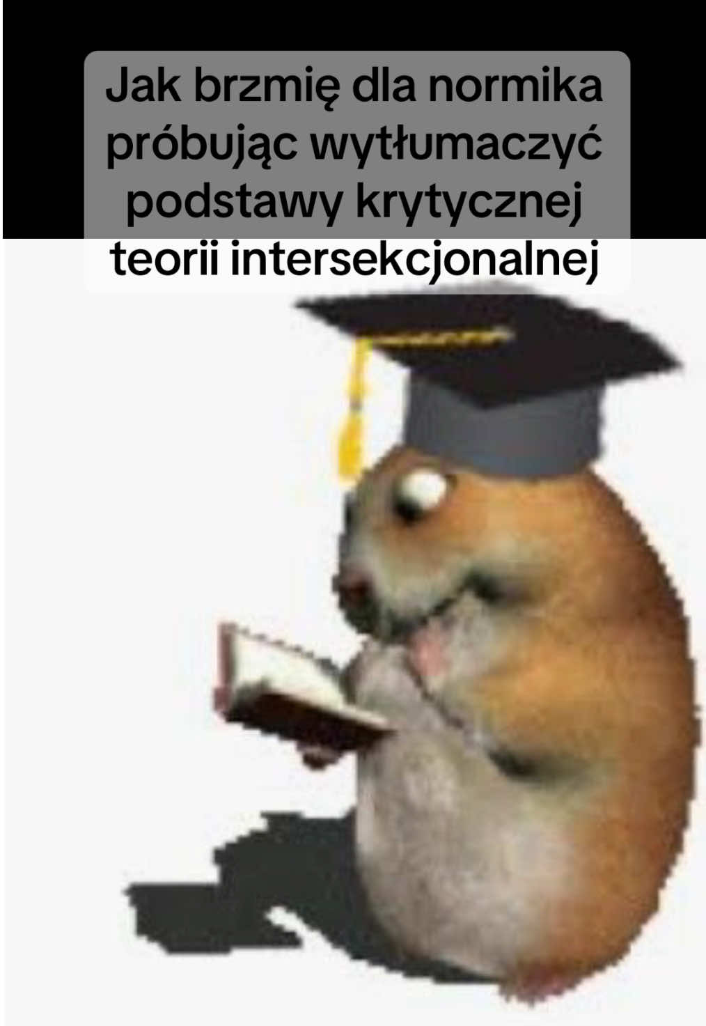 Jak brzmię dla normika  próbując wytłumaczyć  podstawy krytycznej teorii intersekcjonalnej #lewica #antifa #intelectual #intersectionality #queer 
