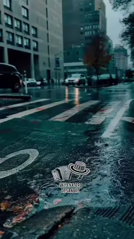 difícil de igualar #vallenato #delbueno 