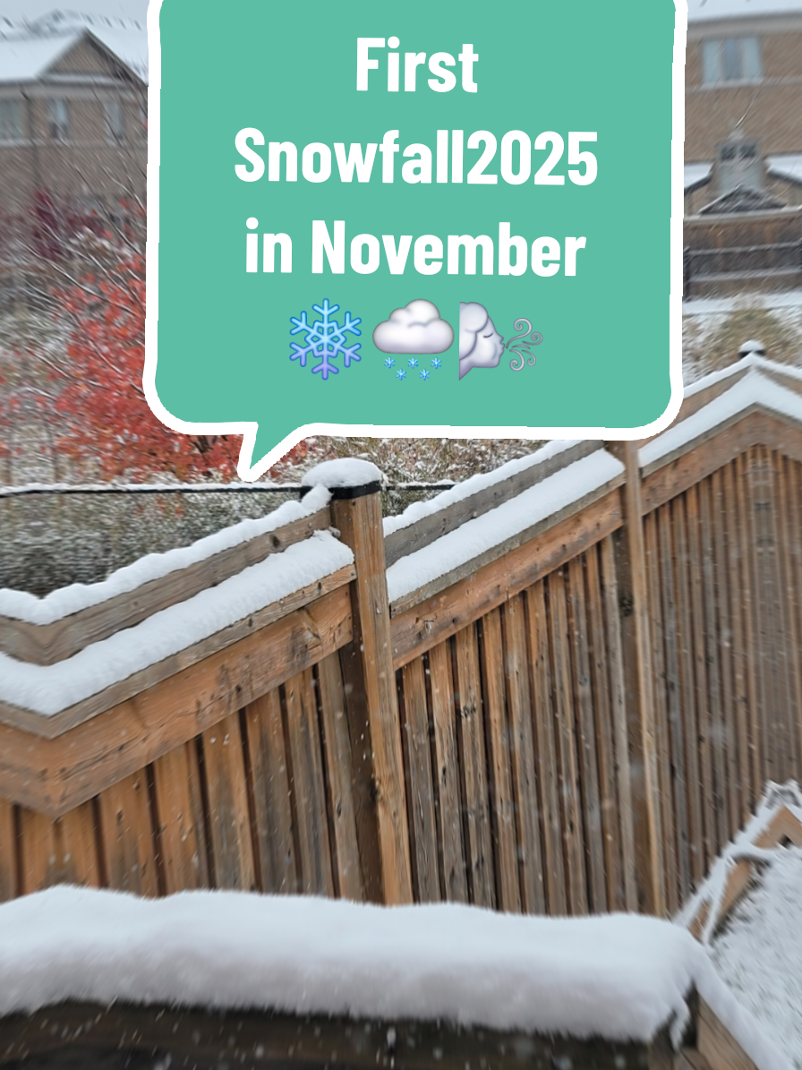 First Snowfall 2025  in November Ontario Canada 🇨🇦  #snow #snowfall2025 #flurries❄️  #foryou #foryoupage 