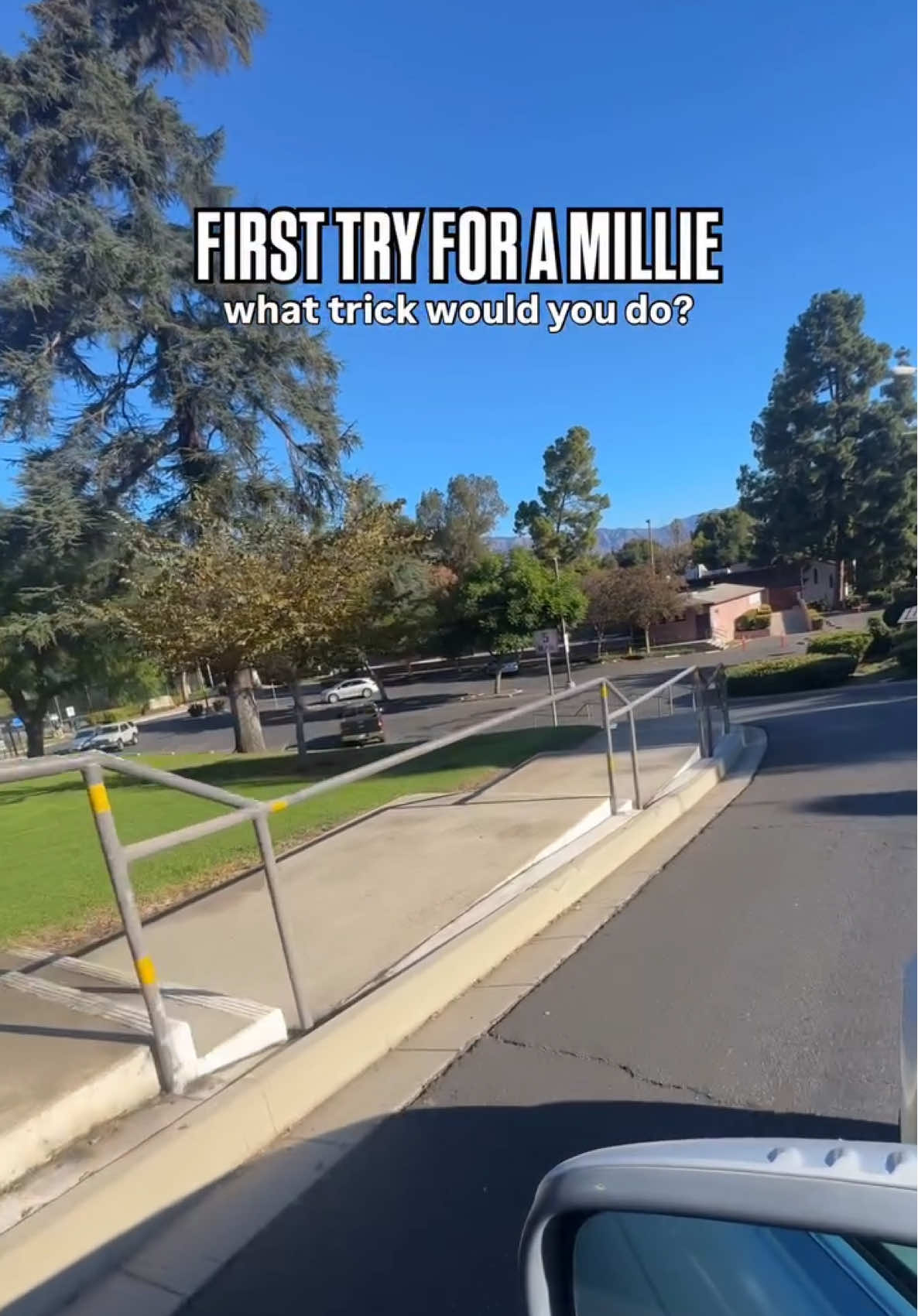 What trick you got for a Millie? First try