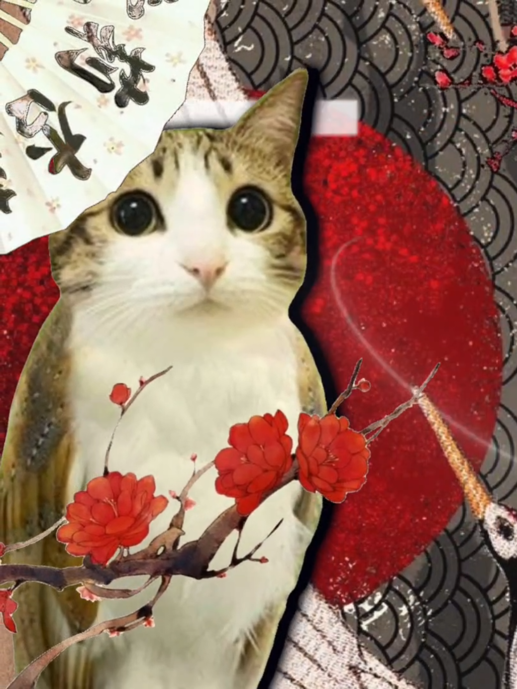 #MEOWL :: I just had to make this  #meowl #satire #fyp #imanewsoul 