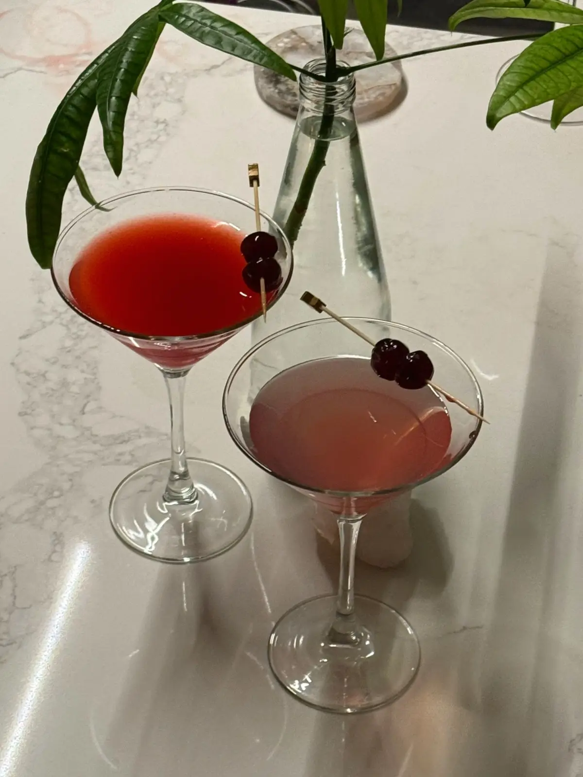 Wait feeling so happy and blessed to have such amazing beautiful people in my life. Hope everyone had a good weekend <3 #photodump #Lifestyle #aesthetic 