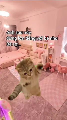 Bé sợ ...🤭 #catmeme #meme #xuhuong #viral 