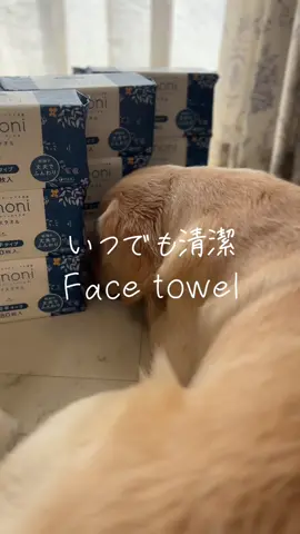 #tiktokショップ買い  #トクトクセール 