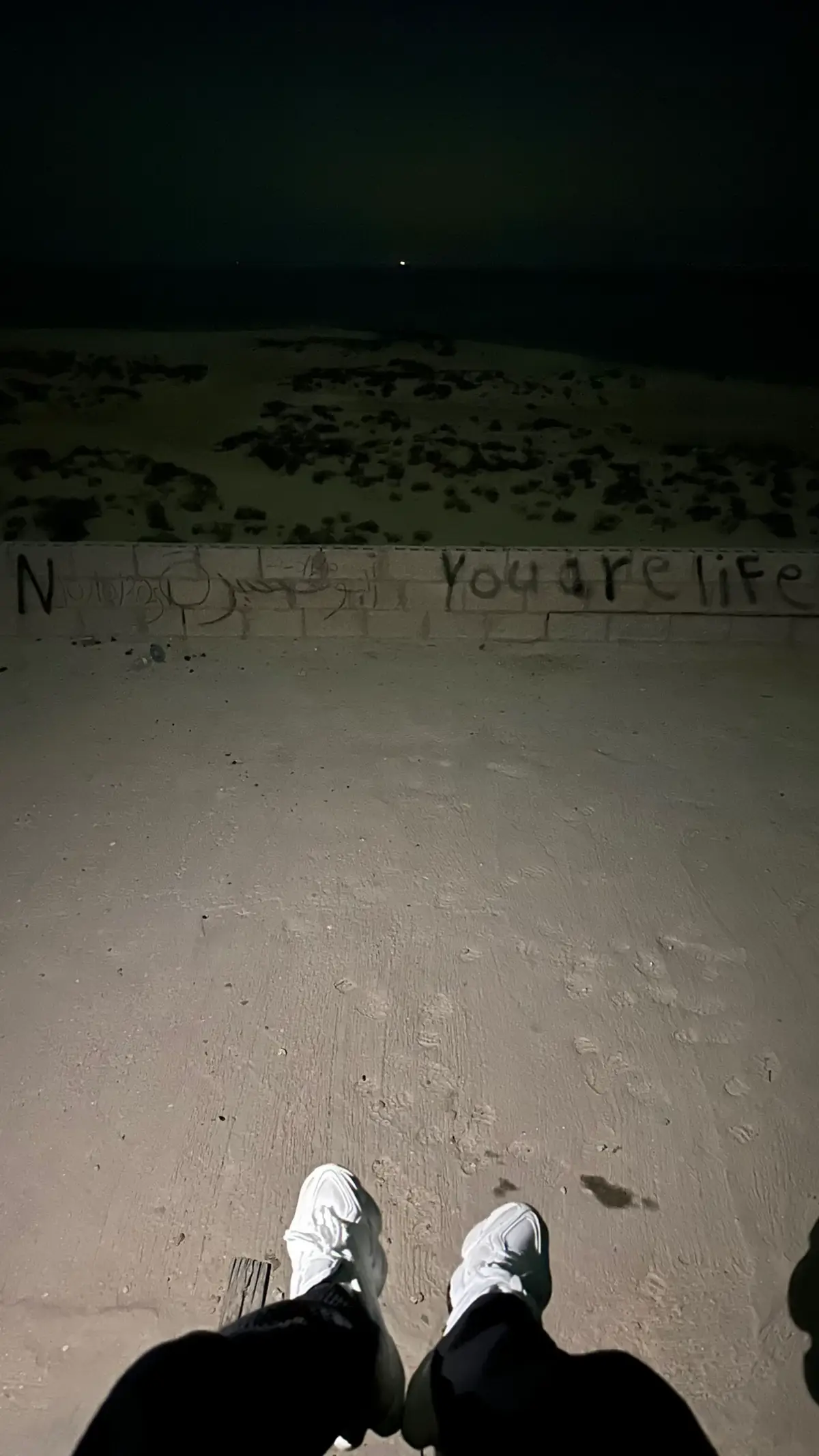 #عشوائيات #القصيم #الخبر 