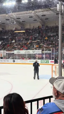 Corgi pandemonium 🥰 #icebears #hockey #corgibutts 