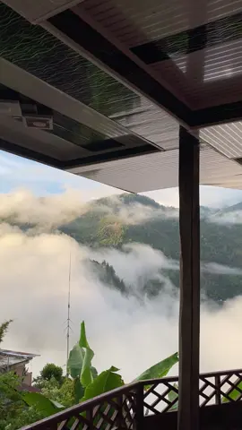 💨🍃.                                                                   #CapCut #fyp 