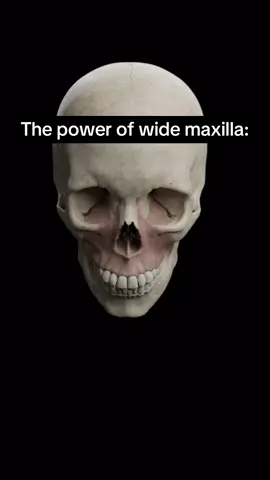 It has begun 🫡  do your research  #mewingshop #maxilla #SelfImprovement #forwardgrowth #looks  