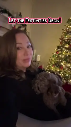 Merry Christmas! #merrychristmas #christmasdecor #itstime #earlychristmas #holidayvibes 