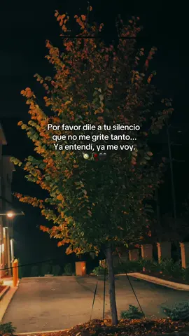 #clasisicrocktiktok #parati 