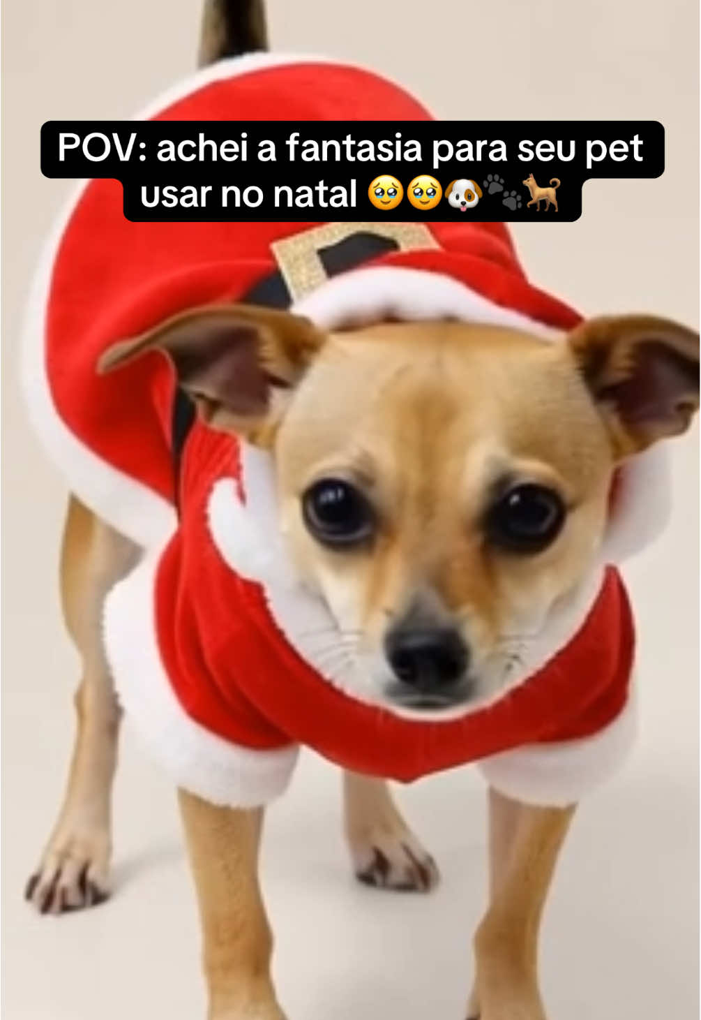 Deixe seu pet entrar no clima do Natal com nossas fantasias natalinas fofas e confortáveis!! 🐾🎄 #achadinhos #natal #merrychristmas #dog #tiktokshop 