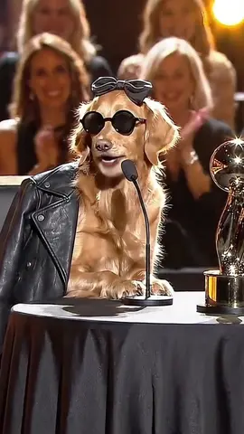 Typical Minnie ugh, but yeah WE WON🥰❤️ #usatiktok🇺🇸 #ustiktok🇺🇸 #doghumor #dogpodcast #barkafterdark 