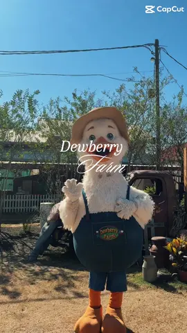 Loved everything it was so cute & fun 🎃@DewberryFarmTX #fallasthetic #houston #fyp #pumpkinpatch #trending 