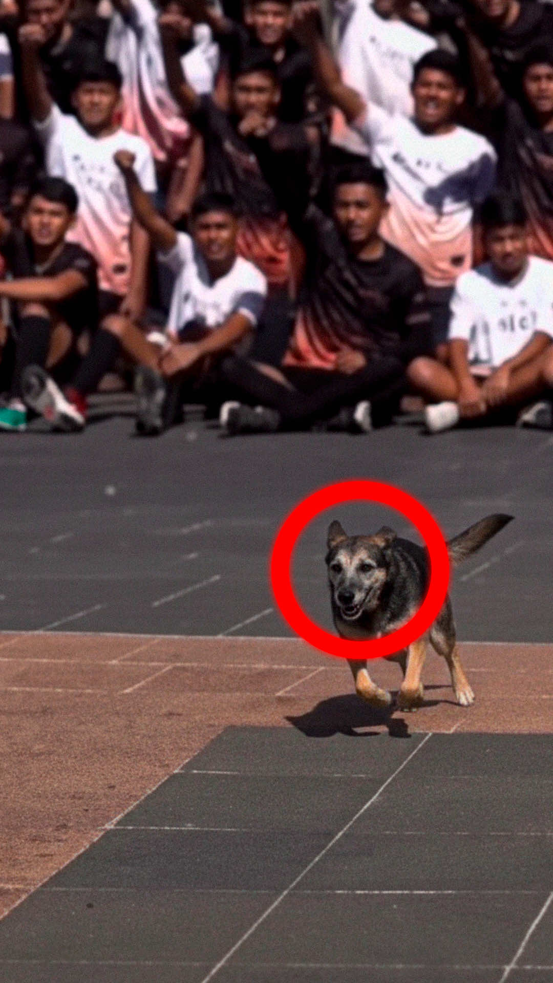 Padre nuestro que estas en el cielo 😂 #viral #comedia #humor #paratii #perro 