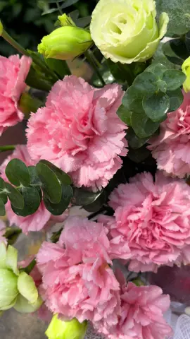 #giotraicay #hoaquangon #giotraicaynhapkhaucaocap 