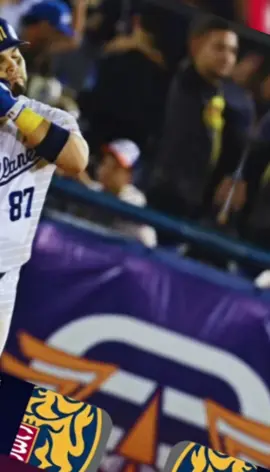 Palo para las gatitas del caracas. Viva el Magallanes 🇻🇪🛳️❤️😎 #magallanes #magallanesbbc #navegantesdelmagallanes #venezuela #beisbolvenezolano 