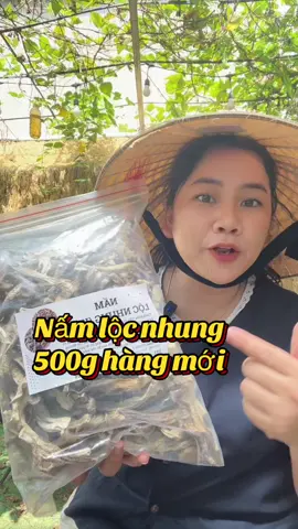 Nấm lộc nhung khô ăn ngon tốt cho người ăn chay#namlocnhung #nongsan #thucphamchay #linhlemlinh559 #xuhuong 