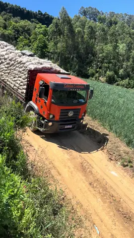 #constellation #agro #6x4 ⭐️⭐️⭐️⭐️⭐️