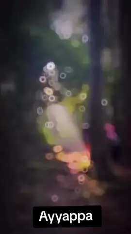 உன்னை இல்லாத வேறு யாரை நான் நேசிப்பேன் ஐயனே #swamiyesaranamayyapa #