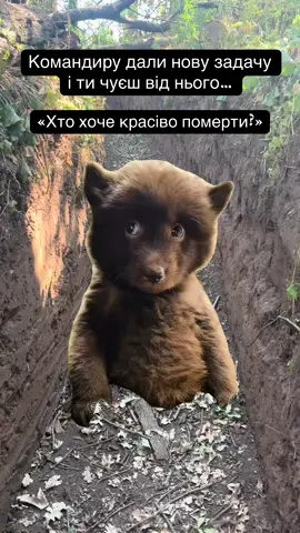 🙃 #Meme #MemeCut #army #ukraine #war 