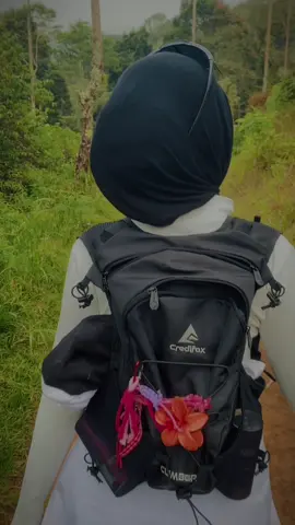 Kenapa sih naik gunung ?  Naik gunung itu tentang memulihkan jiwa yang lelah karena kekecewaan terhadap seseorang .. #fyp #pendakifomo #pendakigunung #upashill #lembang 