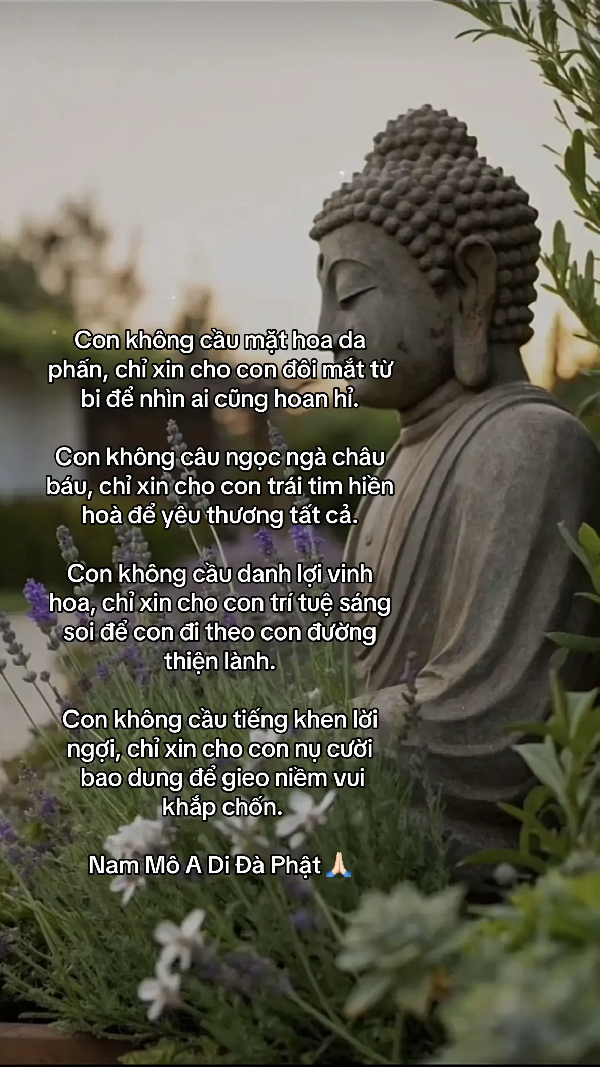 Nguyện cho ai gặp con cũng đều cảm thấy bình yên và người con gặp cũng thiện lành và yên bình 🪷 #hocphatmoingay #phatphapnhiemmau #nammoadidaphat #phatgiao #anyen 