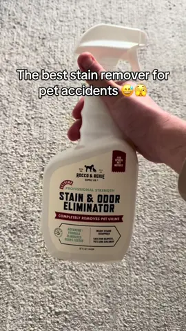 This gets rid of stains and smells so well when Ernie has his little oopsies lol he’s just a little pupppyyy still ok 🥺😂 but fr we love this @Rocco & Roxie Supply Co. Extreme stain & odor eliminator to take care of these accidents ! #stainremover #odorremoval #dogspray #dogmom #dogessentials 