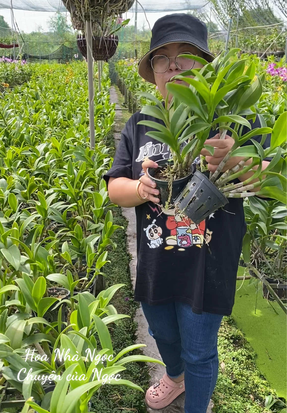 Số lượng ít ít thôi ạ! Tranh thủ làm hoa Tết nhé! #chuyencuangoc #hoanhangoc #hoalanhodiep #orchid #hoalan 