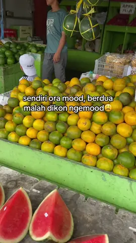 ngemut premen mksd e🍭 #fyp #jandamuda #madiun24jam 