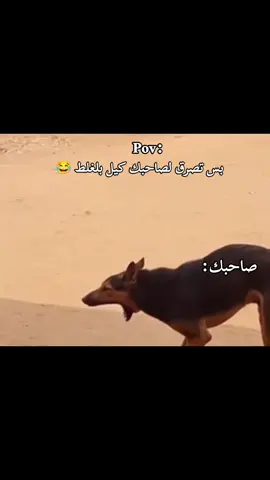 عملو منشن @#pubgmobile #explore #foryou #الشعب_الصيني_ماله_حل😂😂 #viral 