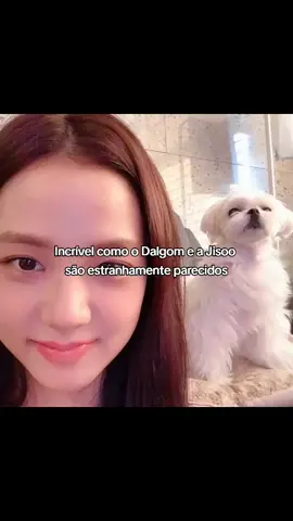 fofos | #dalgom #jisoo #kimjisoo #blackpink #fyp 