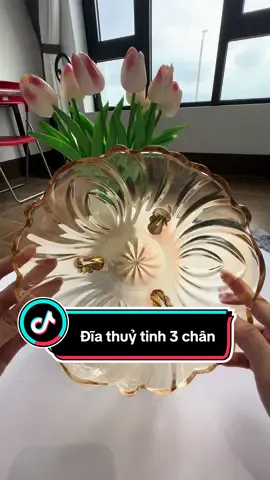 Đĩa để hoa quả, bánh kẹo tết decor sang và đẹp lắm nha, giá rẻ bất ngờ#mephongduong #diahoaqua #diathuytinhdehoaqua #diadehoaqua #diathuytinh3chan 