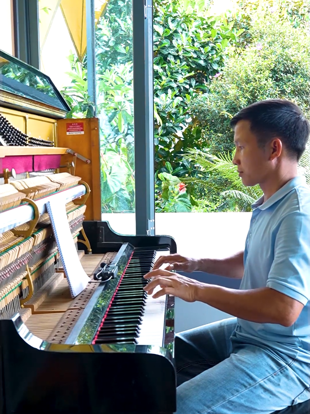 sáng sớm tinh mơ, thế này là nên thơ #binhdiennang2 #piano #tapdan #giaitri #haihuoc 