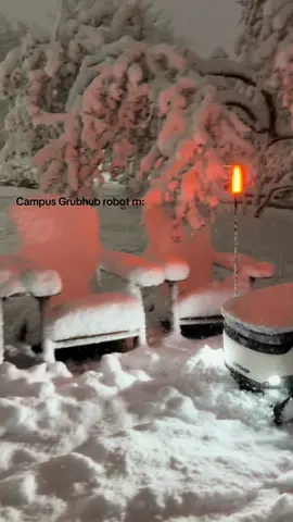 Poor robots LMAOAOA  #robot#campus#snow#fypシ゚viral#notredame